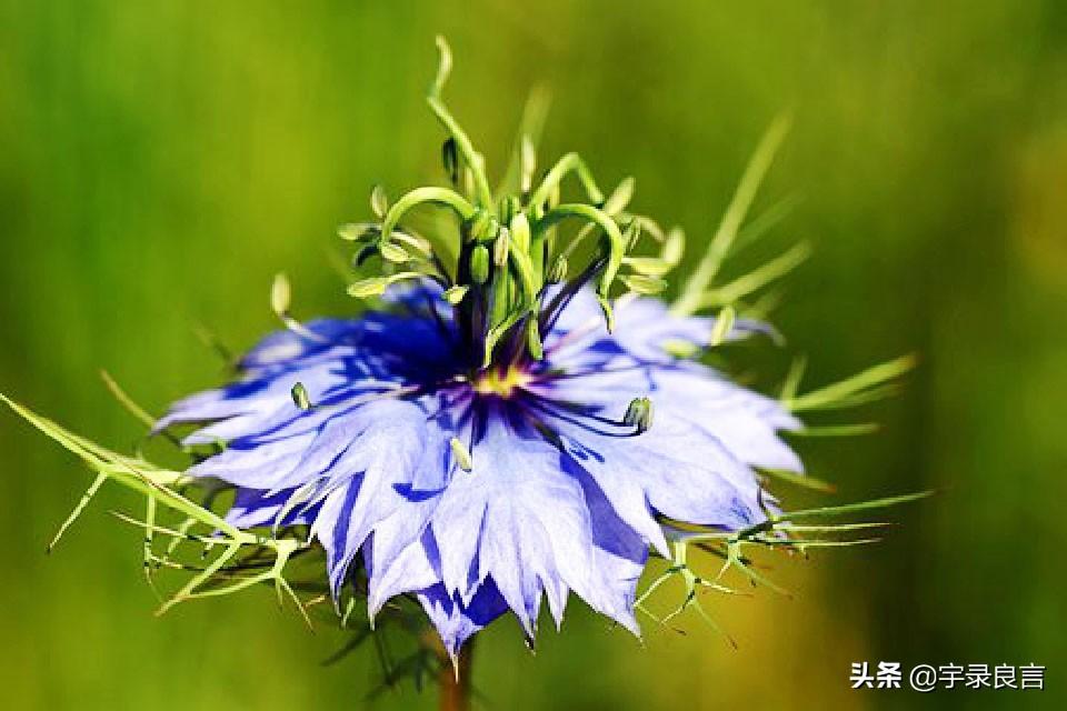 夜晚思考人生的句子，句句都很棒，总有一句打动你(图4)