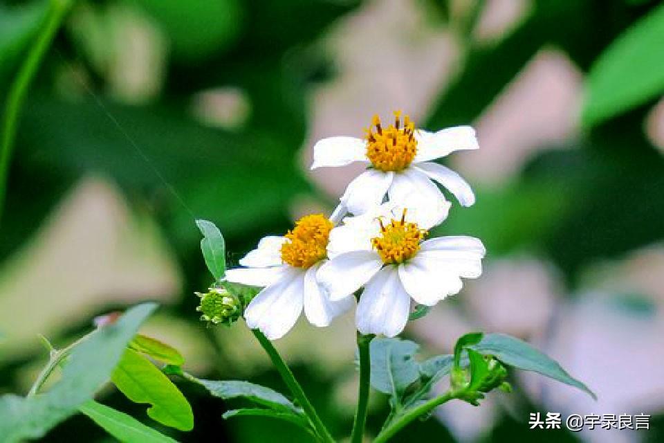 夜晚思考人生的句子，句句都很棒，总有一句打动你(图5)