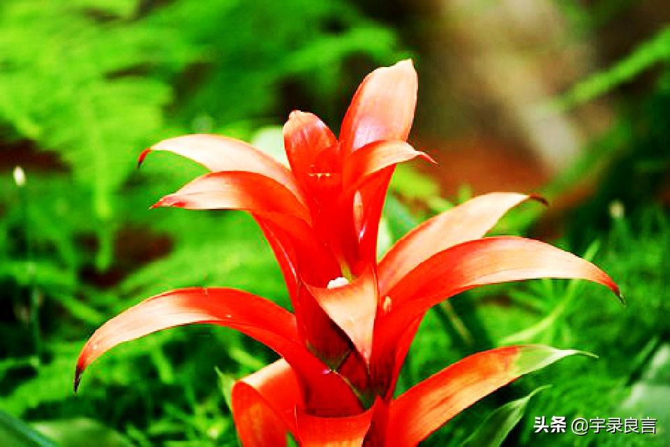 夜晚思考人生的句子，句句都很棒，总有一句打动你(图6)