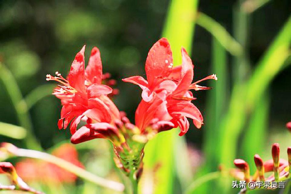 夜晚思考人生的句子，句句都很棒，总有一句打动你(图7)