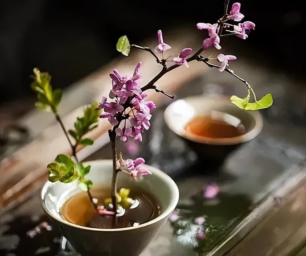 生活如茶，归人如斯(图1)