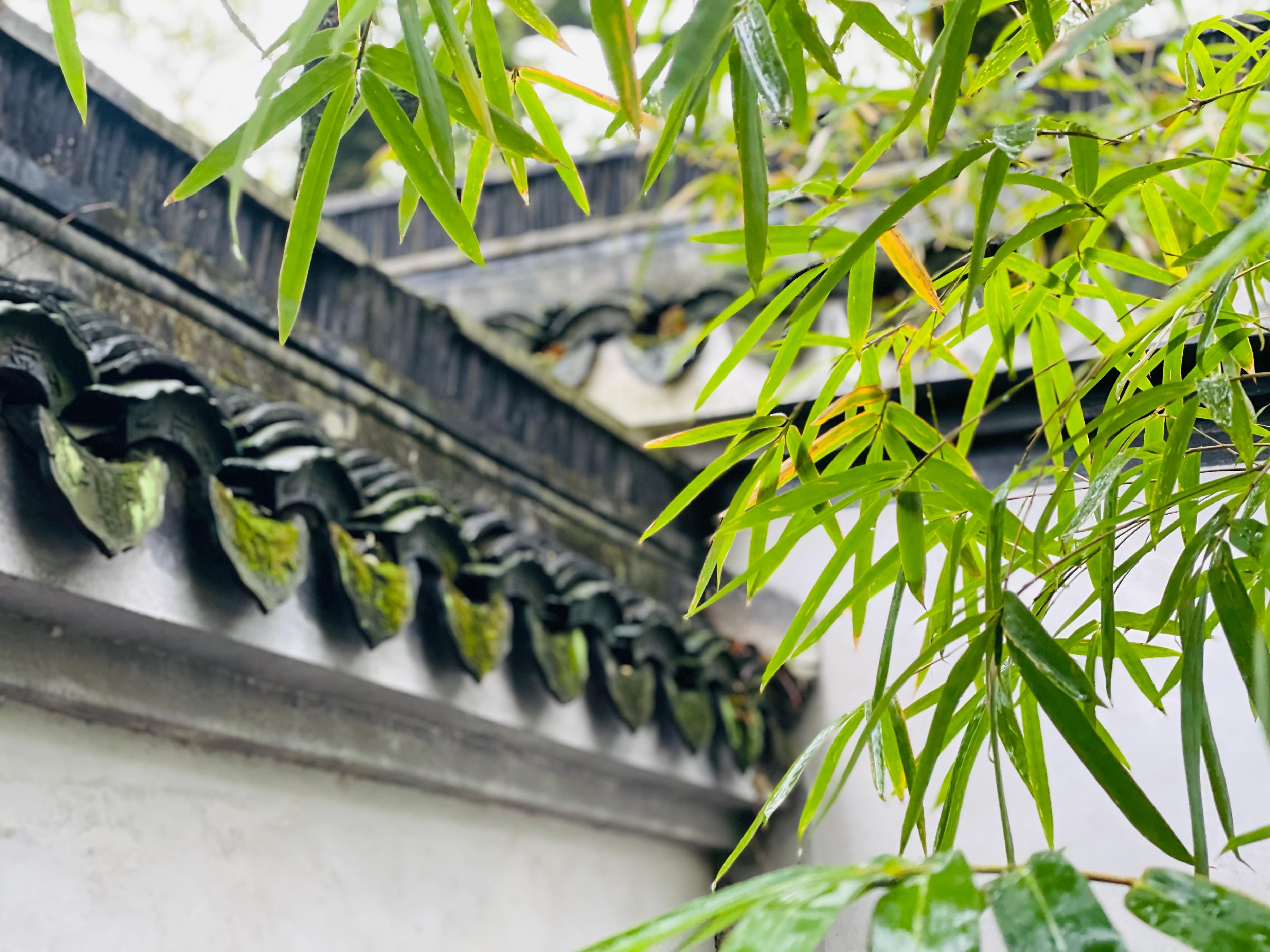 人间至美读书声(图3)