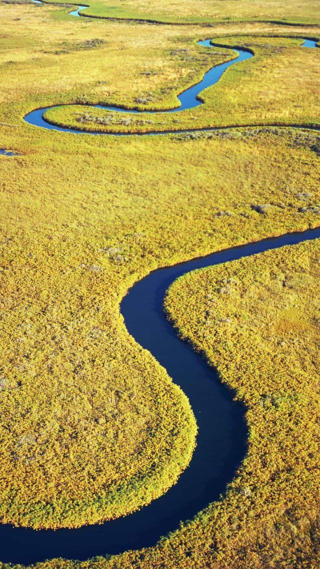 最美读书声(图1)