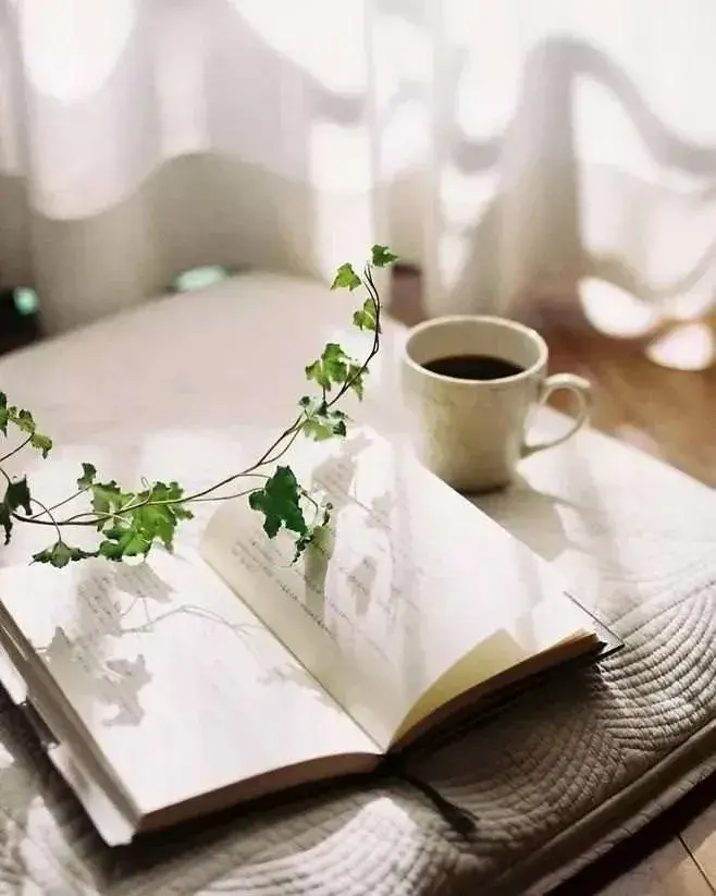 濮阳市第二实验小学线上读书交流活动（十一）—— 一（3）班：朗朗读书声 悠悠书香味(图6)