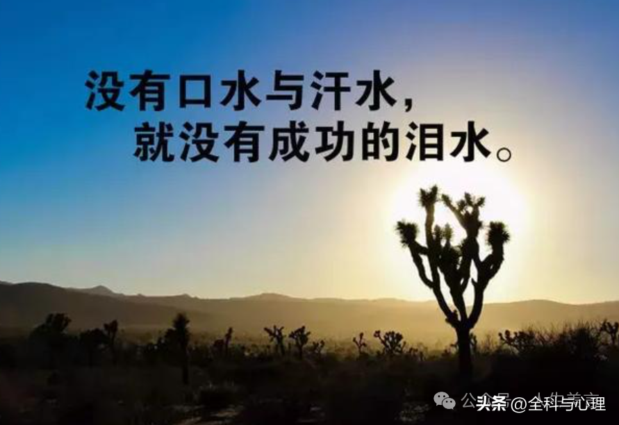 励志文案短句高级，正能量奋斗句子(图3)