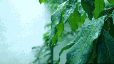 落雨听禅，何处不是水云间？(图4)