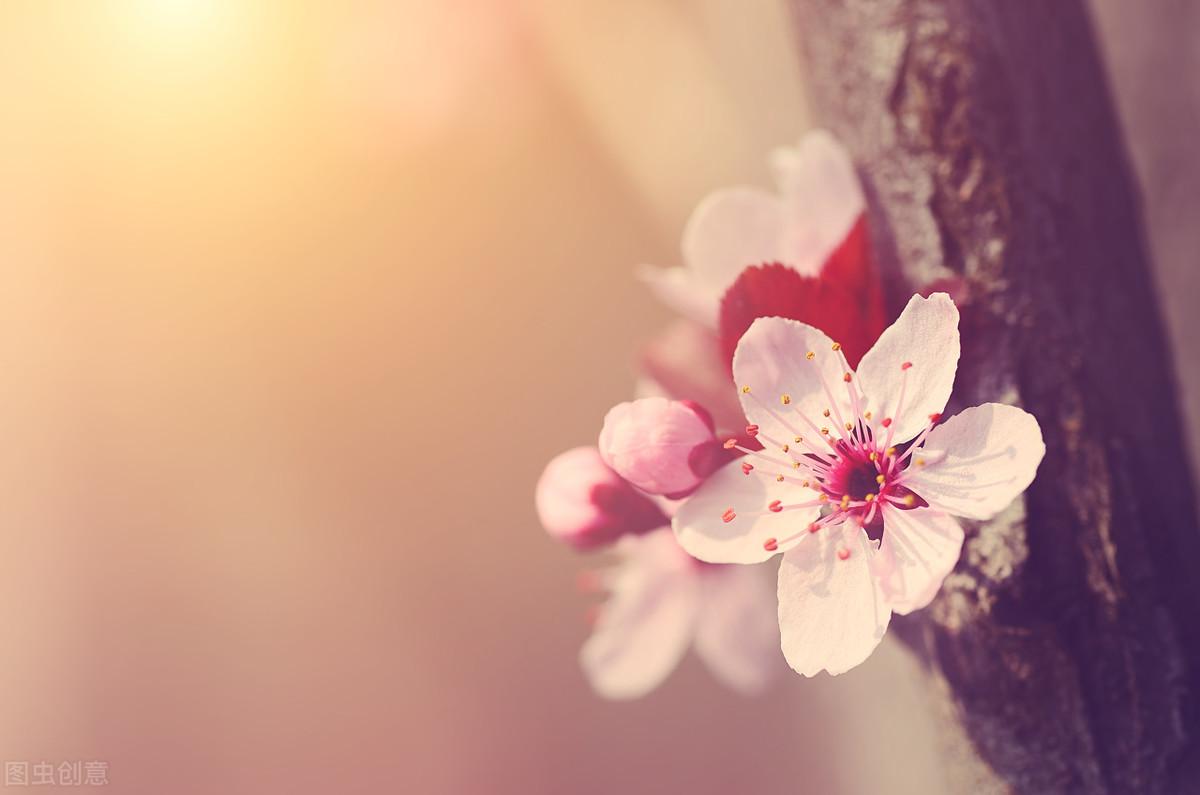 掬一捧清凉，落雨听禅(图1)