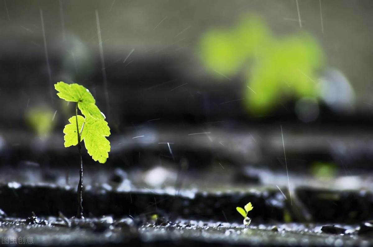掬一捧清凉，落雨听禅(图2)