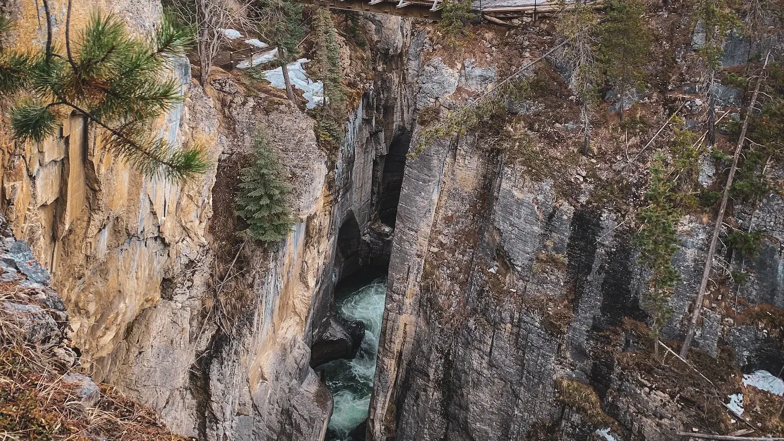 深度解析罗素名言：“不是读书没用，是你读的那点破书没用”(图3)