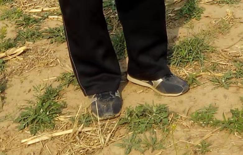 诗一首：母亲的大脚(图2)