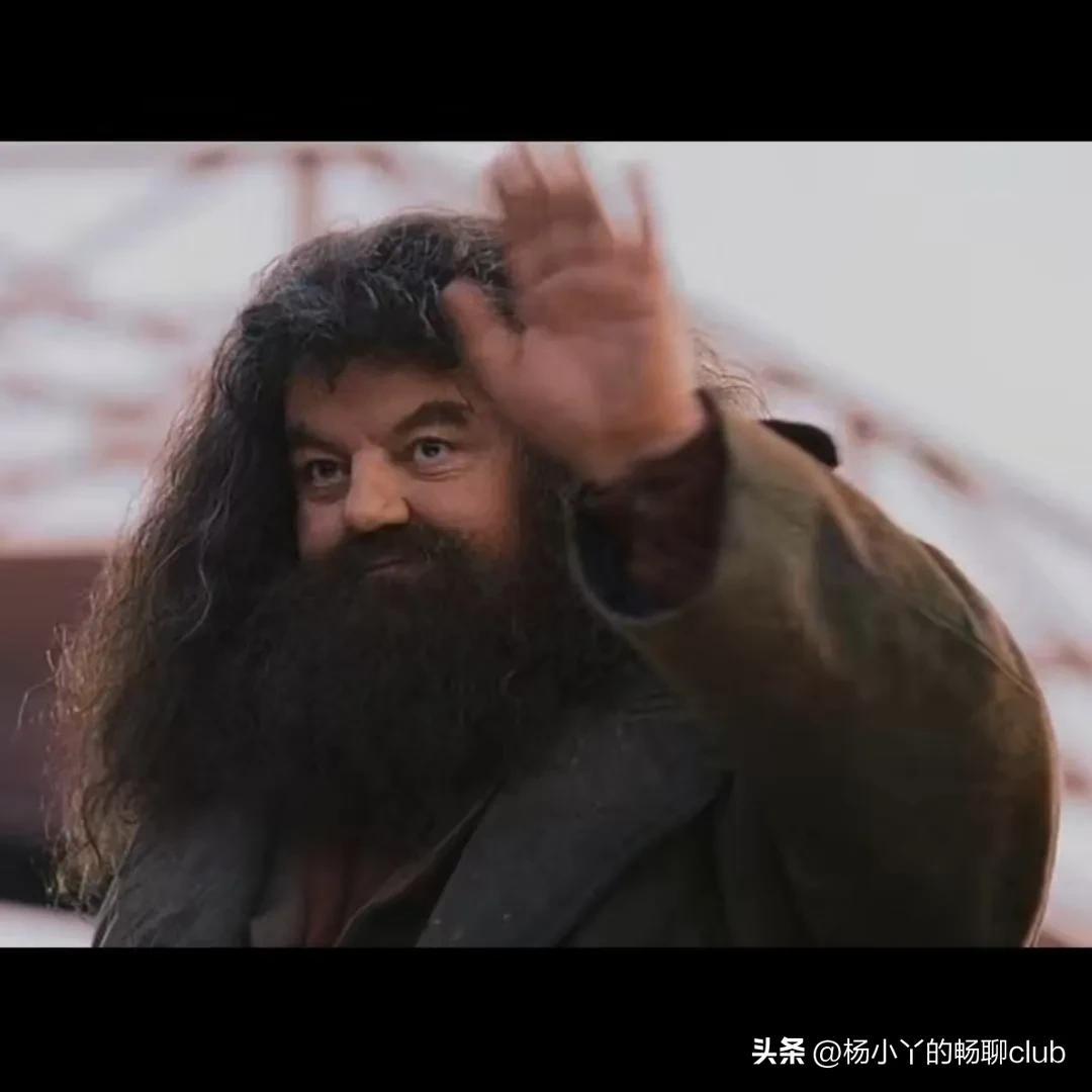 那些年《哈利·波特》中的神仙催泪语录，有多少戳到了你的痛点(图5)