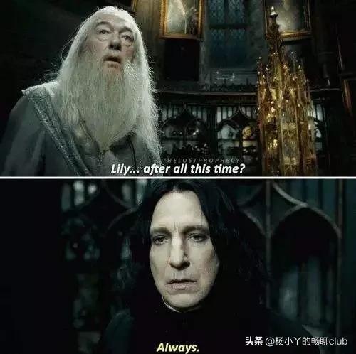 那些年《哈利·波特》中的神仙催泪语录，有多少戳到了你的痛点(图12)