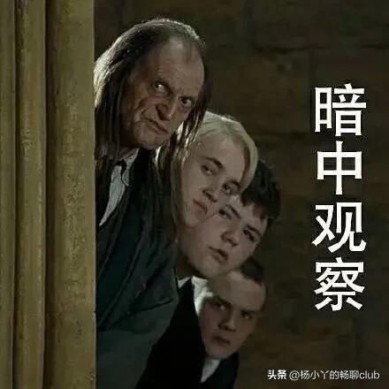 那些年《哈利·波特》中的神仙催泪语录，有多少戳到了你的痛点(图13)