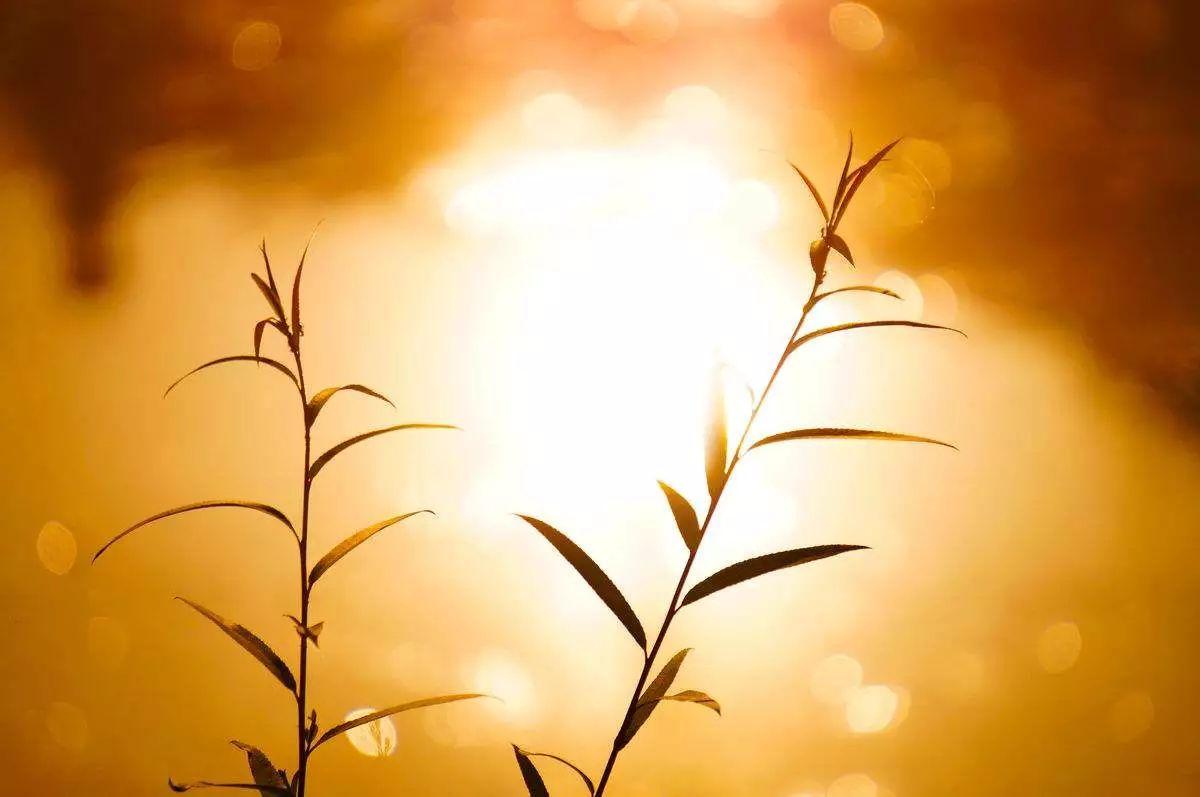 千金易得，知己难求(图1)