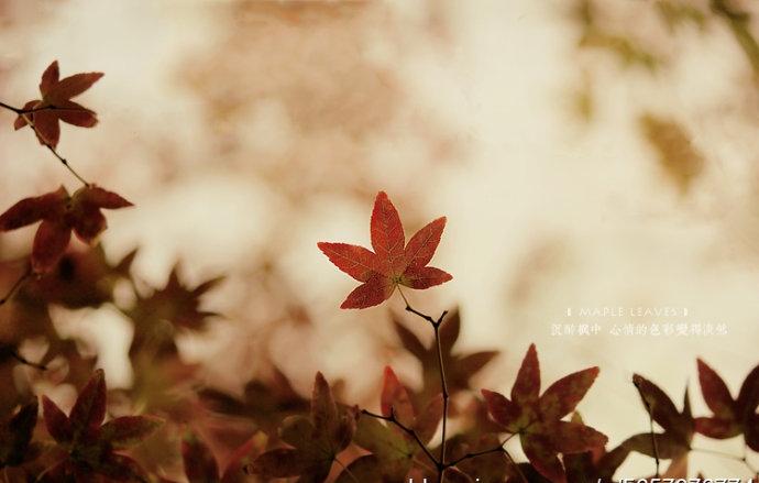 千金易得，知己难求(图3)