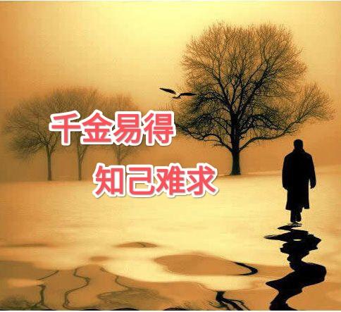 千金易得，知己难求(图4)