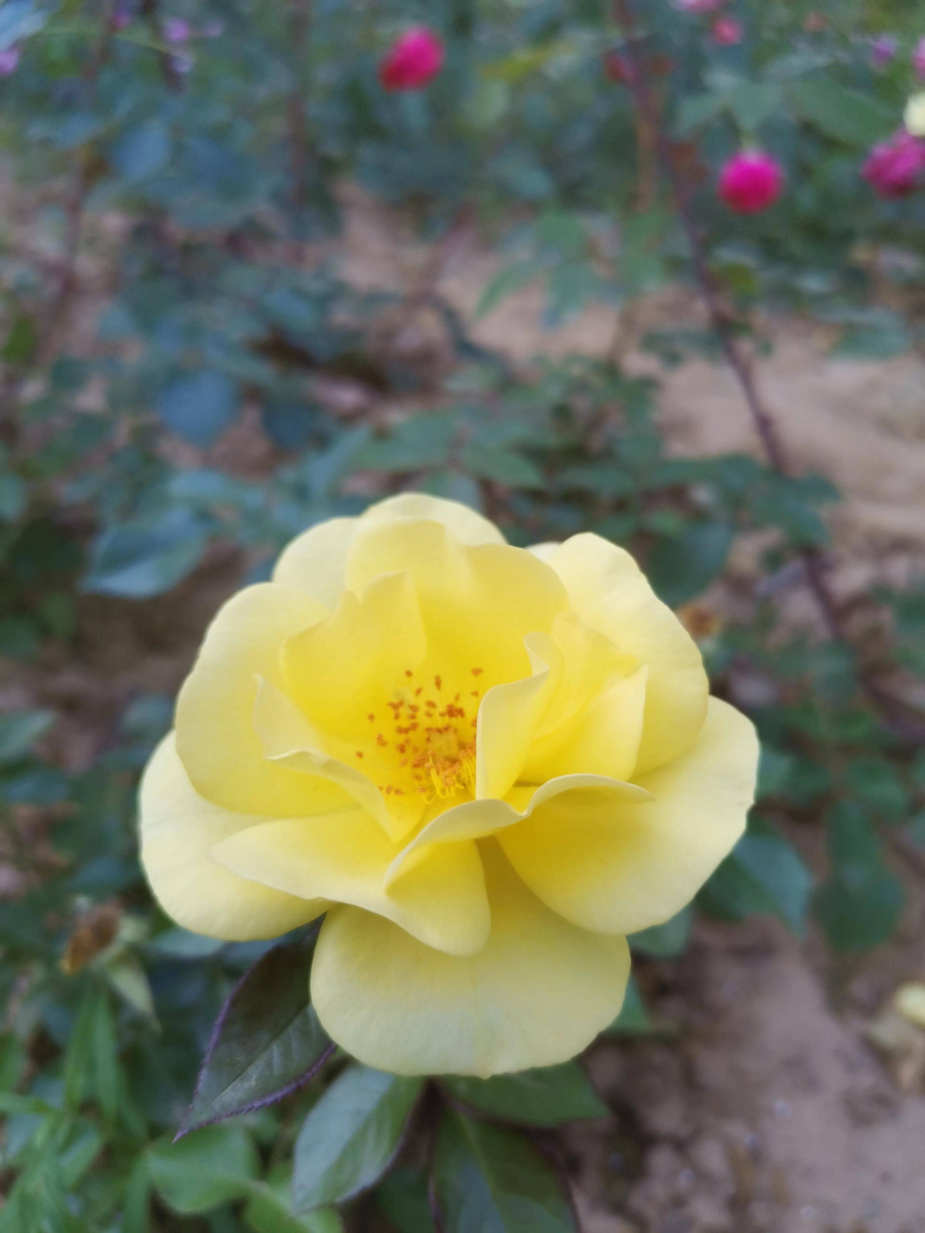 人生难得一知己，千古知音最难觅(图1)