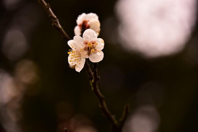 人生难得一知己，千古知音最难觅(图6)