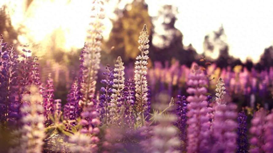 23句心情不好无法表达的说说，句句很真实，太精辟了!(图1)