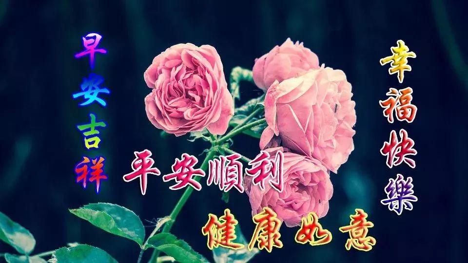 生活如茶，浓浓淡淡；生活如戏，哭哭笑笑，早安(图1)