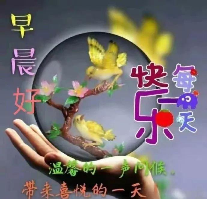 生活如茶，浓浓淡淡；生活如戏，哭哭笑笑，早安(图4)