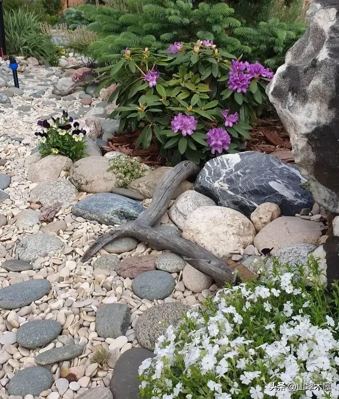 石头与花朵(图1)