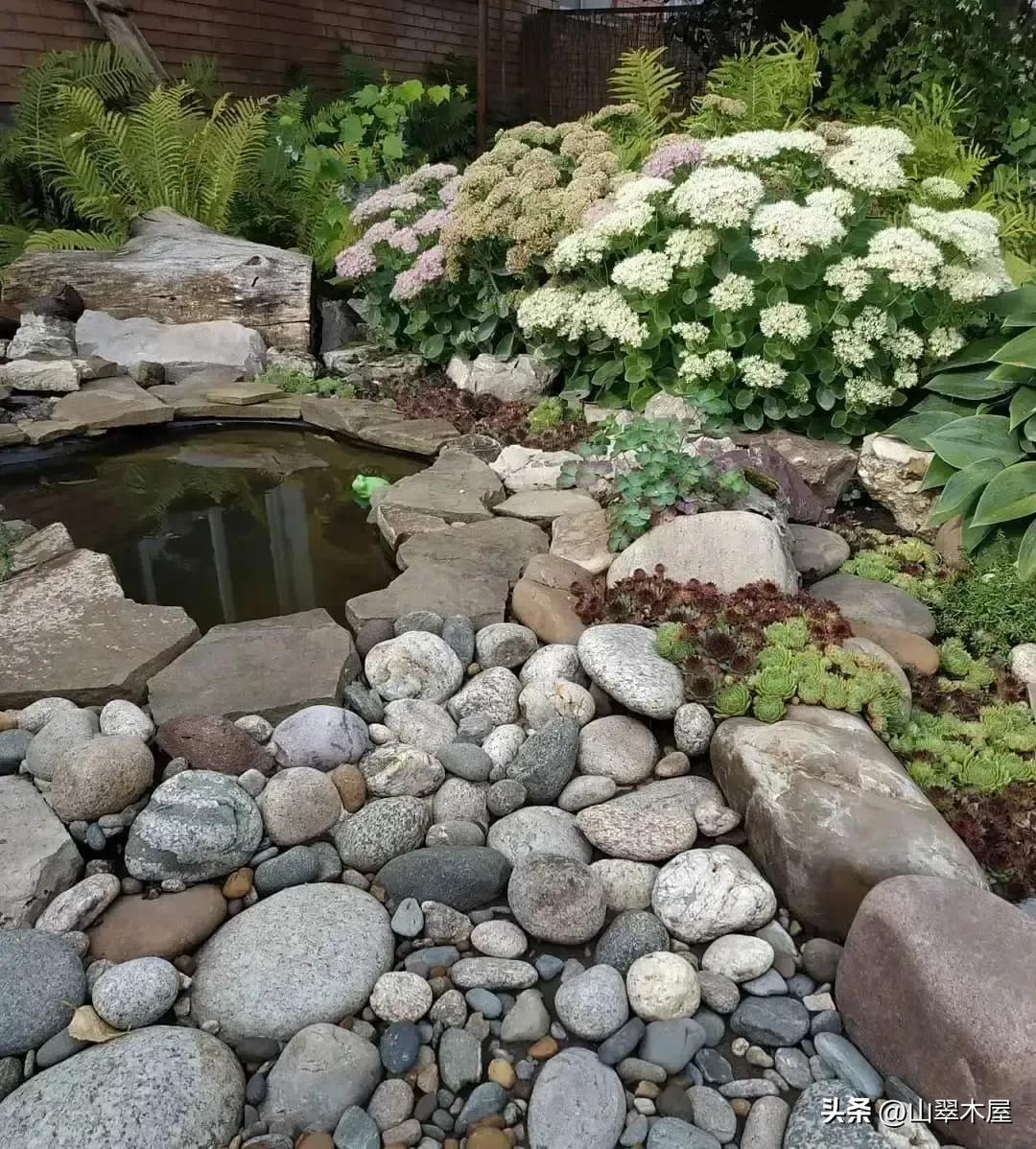 石头与花朵(图3) 石头与花朵(图3)