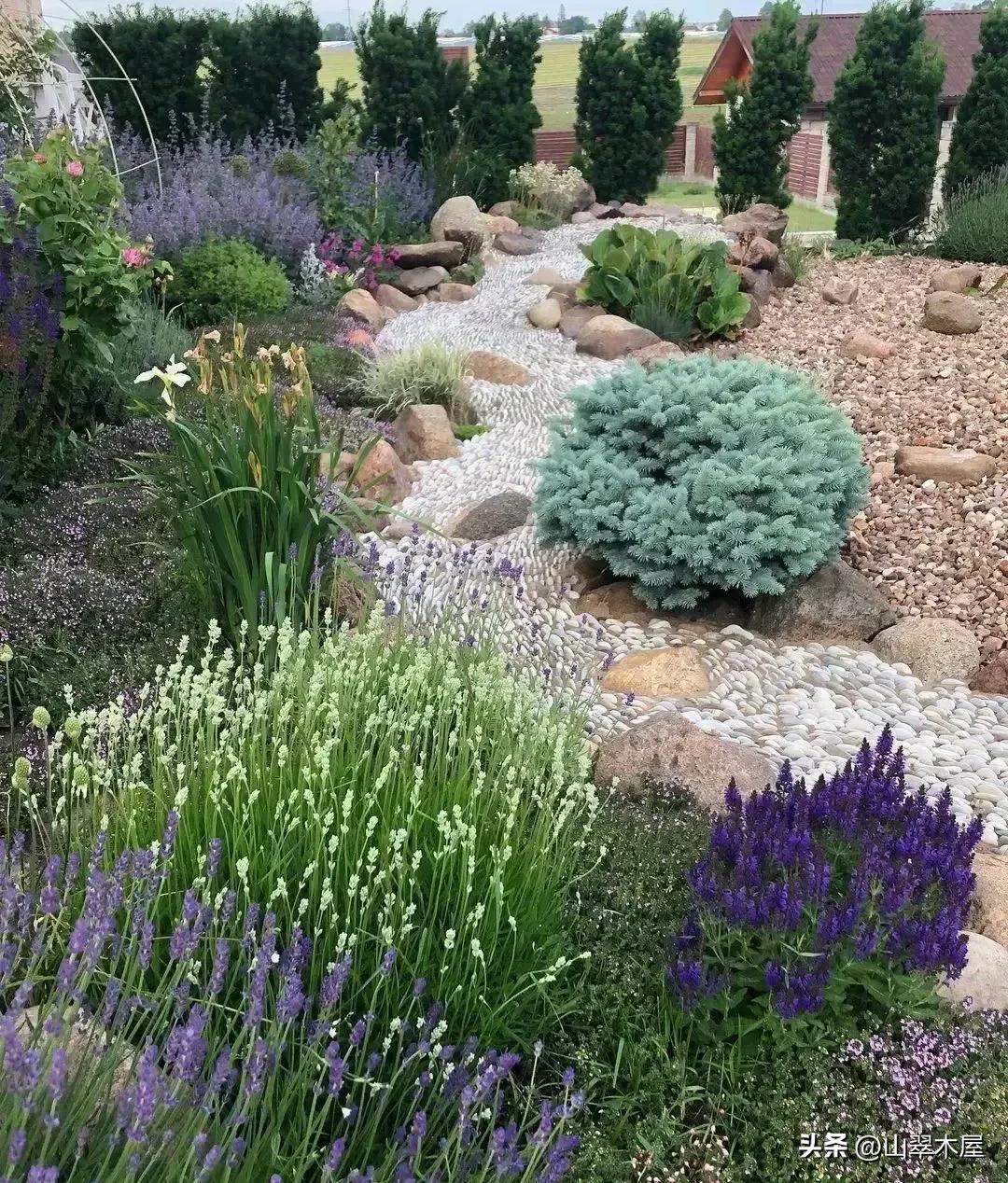 石头与花朵(图4) 石头与花朵(图4)