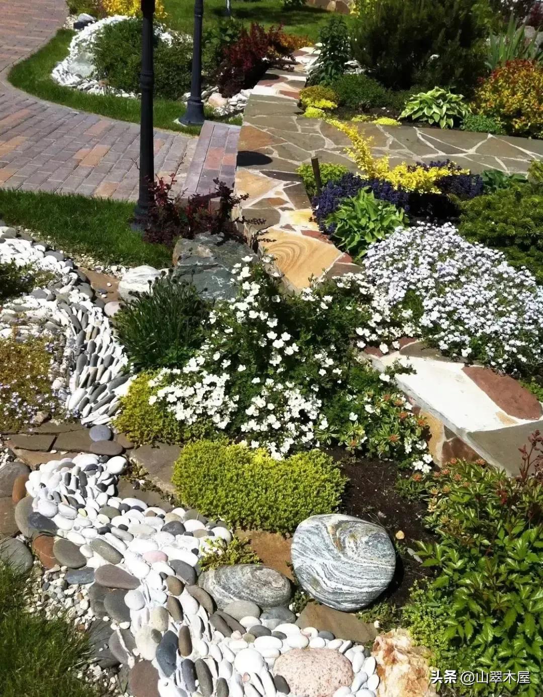 石头与花朵(图7) 石头与花朵(图7)