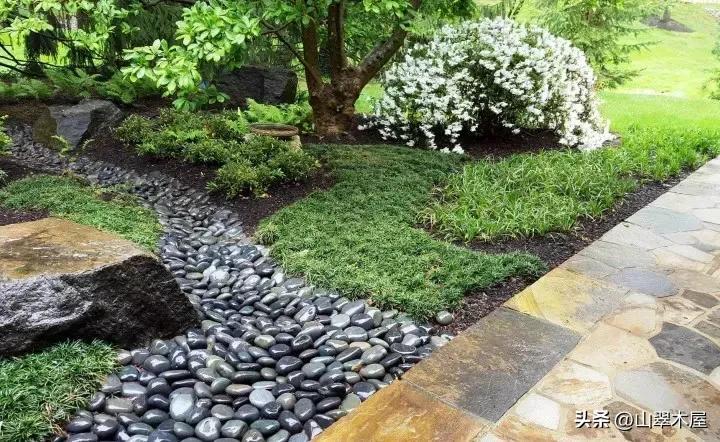 石头与花朵(图12) 石头与花朵(图12)