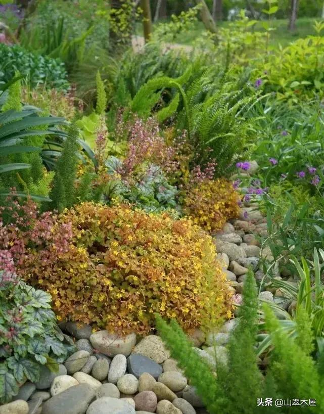 石头与花朵(图14) 石头与花朵(图14)