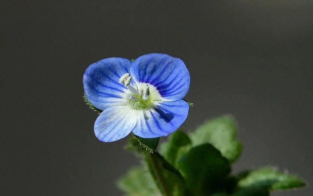 收到红包高情商回复的句子(图1)