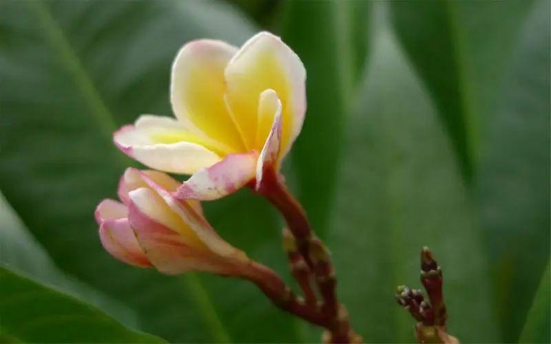 收到红包高情商回复的句子(图2)