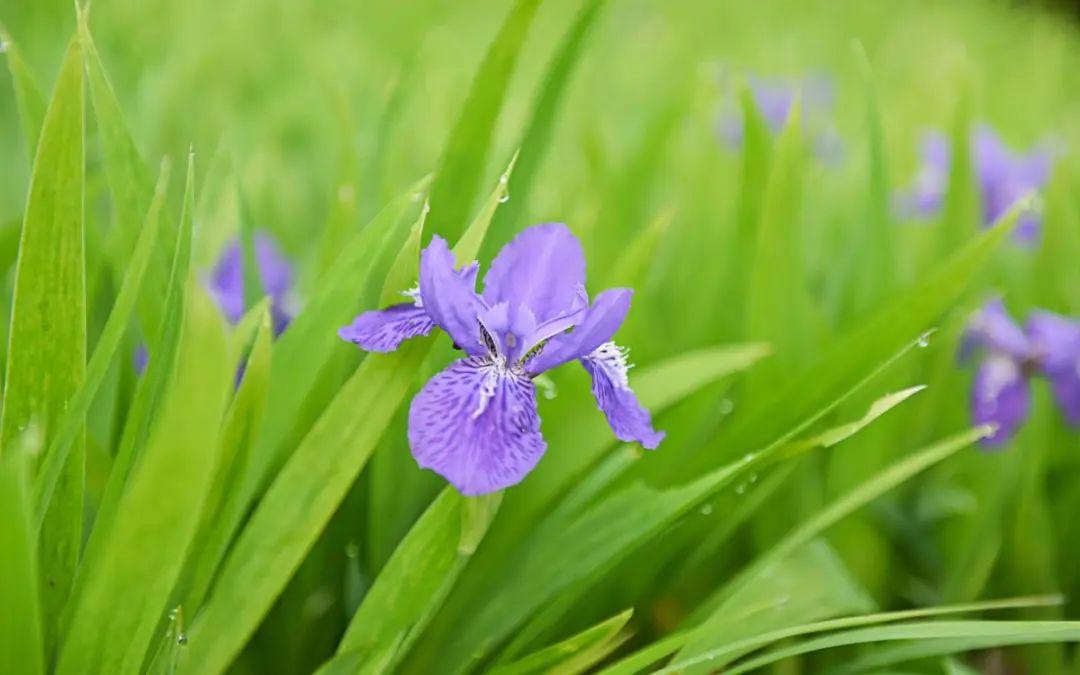 收到红包高情商回复的句子(图3)