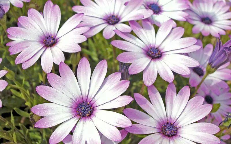 收到红包高情商回复的句子(图5)