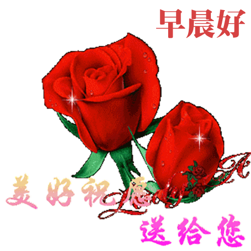 一路阳光，一世芳华。走向时光最深处，走到人生最远方，早安(图4)