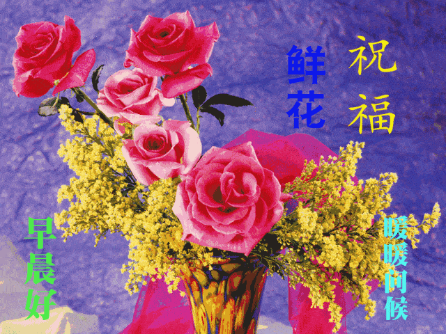 一路阳光，一世芳华。走向时光最深处，走到人生最远方，早安(图5)