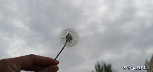 四十岁生日：时光匆匆，心有不甘(图1)