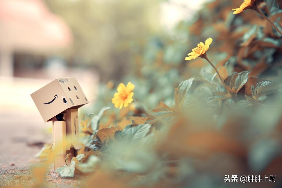 四十岁生日：时光匆匆，心有不甘(图2)