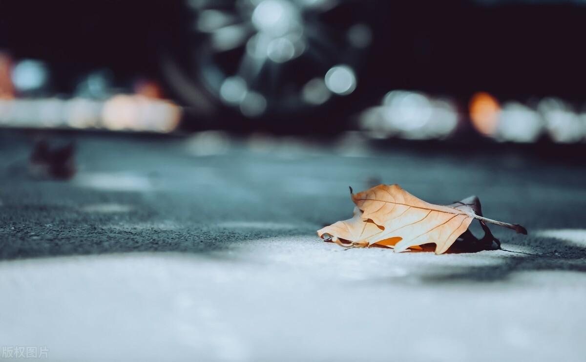 《我曾七次鄙视自己的灵魂》：别把自己的无能当做理所当然(图1)