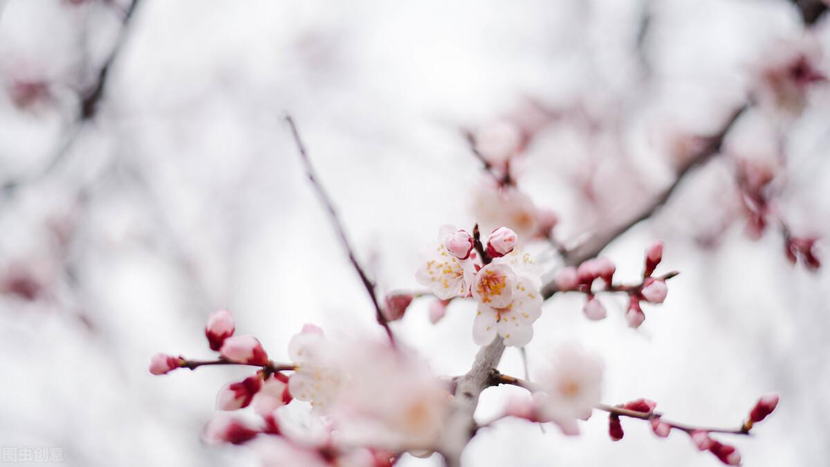 《我曾七次鄙视自己的灵魂》：别把自己的无能当做理所当然(图2)