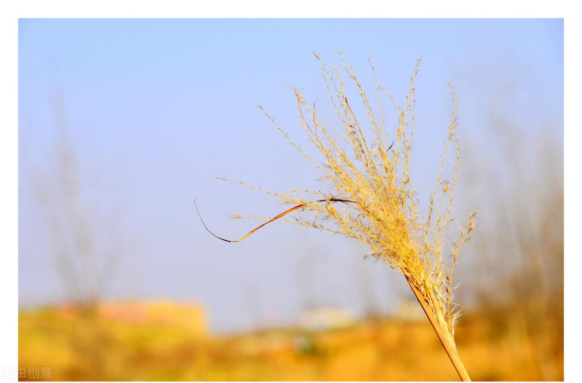 《我曾七次鄙视自己的灵魂》：别把自己的无能当做理所当然(图4)