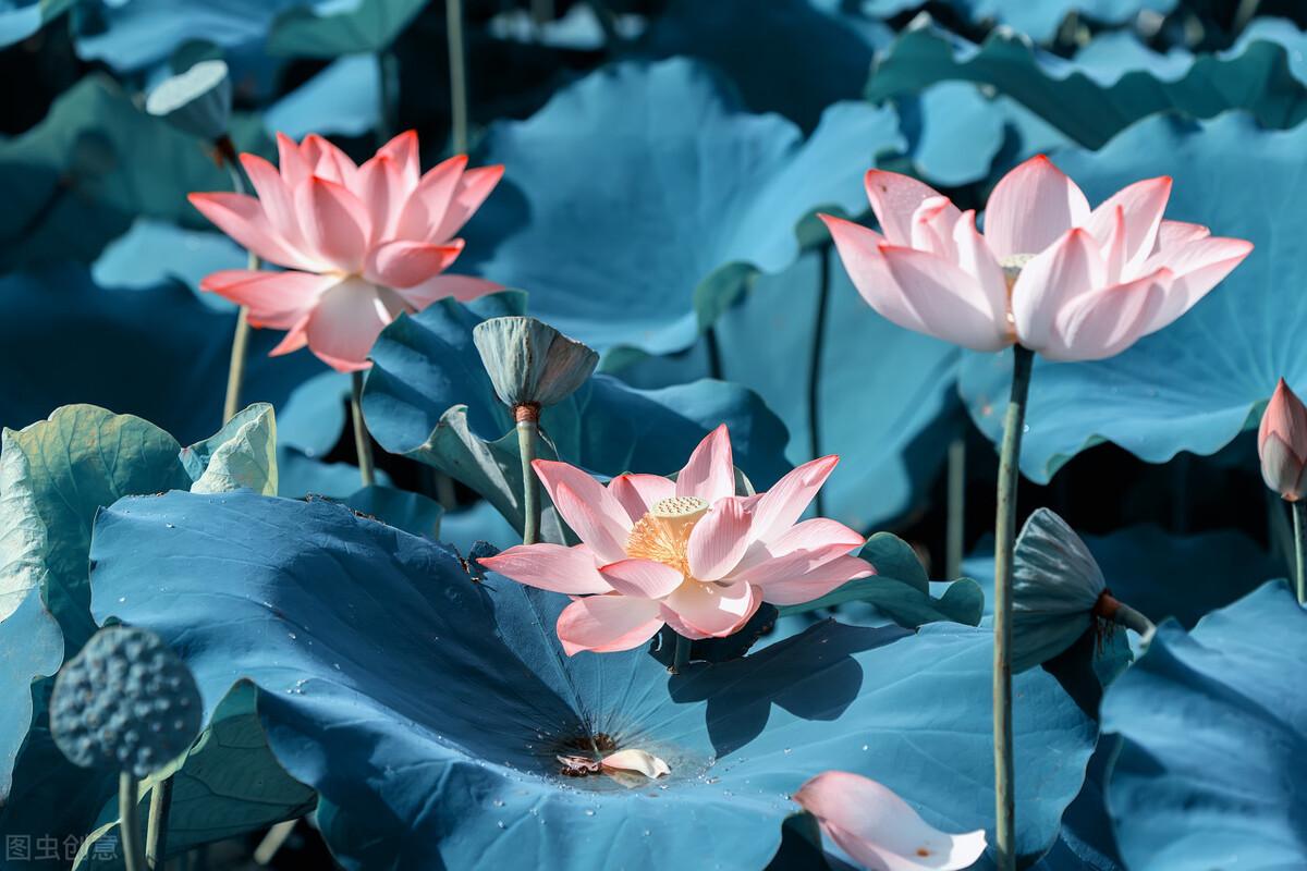 《我曾七次鄙视自己的灵魂》：别把自己的无能当做理所当然(图8)