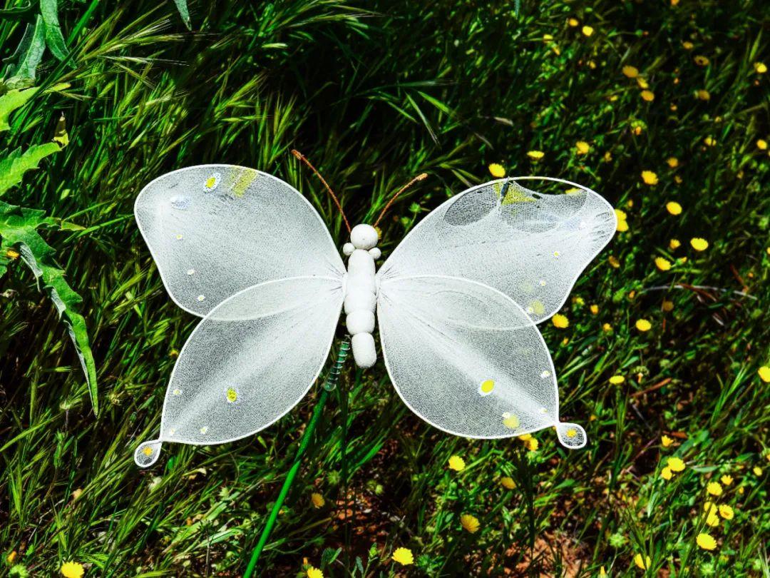 七言：不想认命，就去拼命(图7)