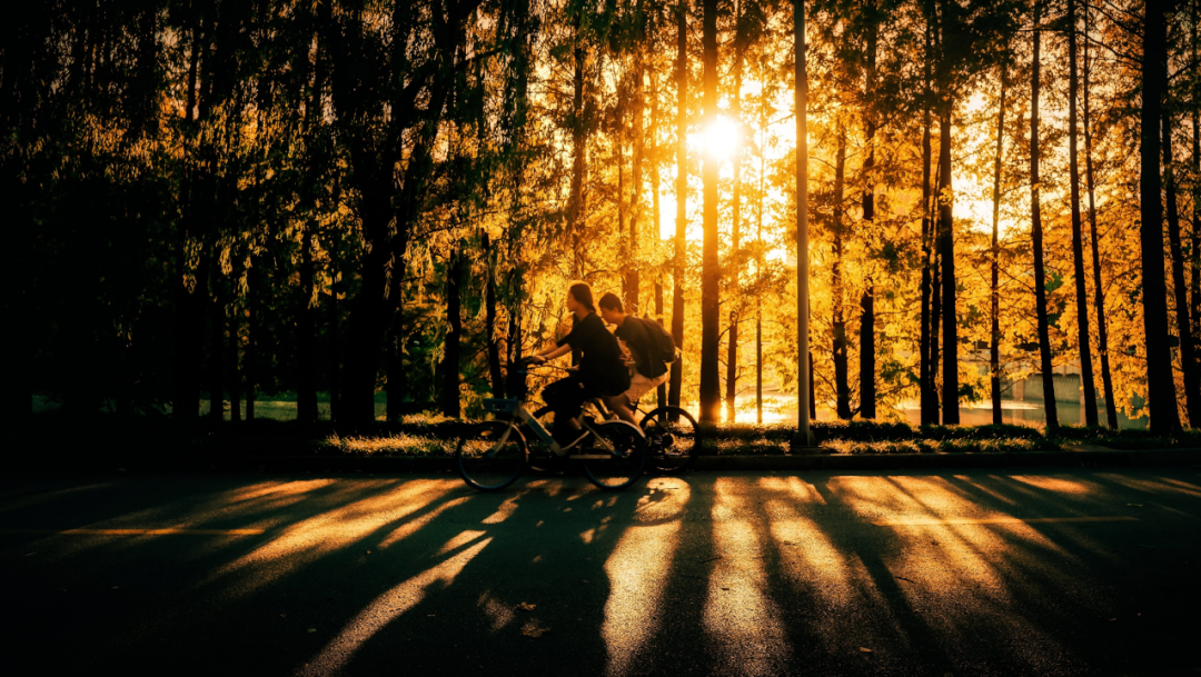 奋斗的你我皆不凡(图4)