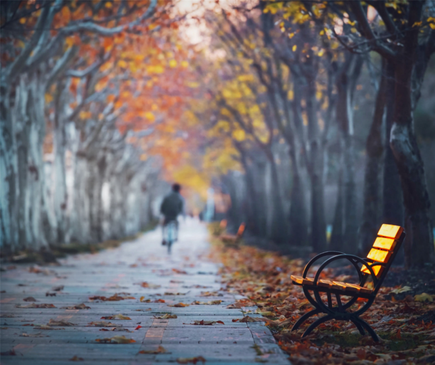 奋斗的你我皆不凡(图24)