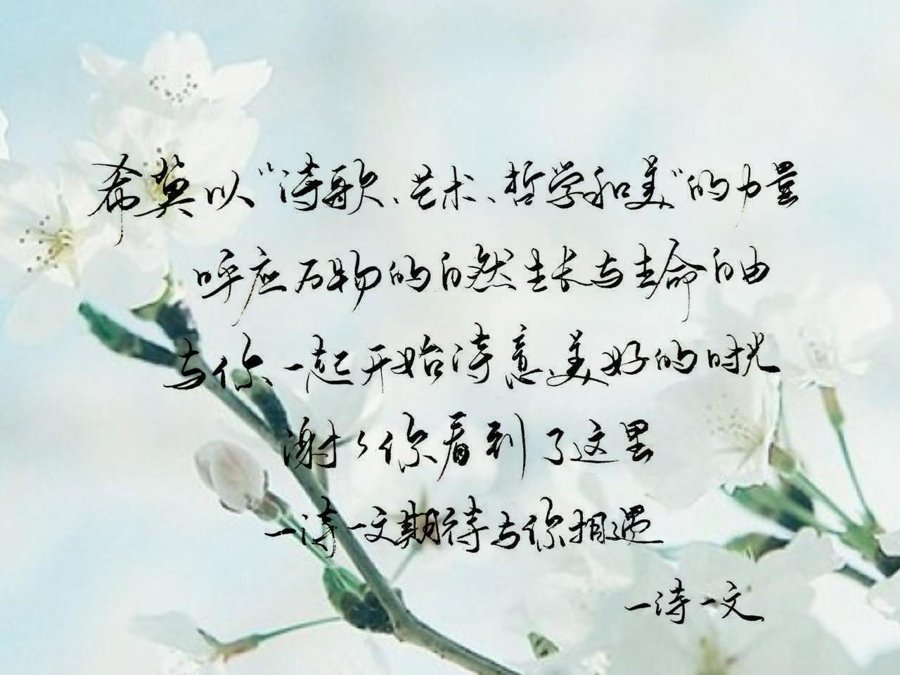 往昔如昨,恍惚一梦,心有千语,情自难期(图11) 往昔如昨,恍惚一梦,心有千语,情自难期(图11)