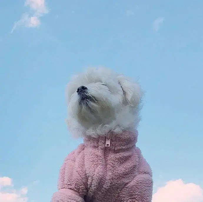 阳光心态快乐人生的句子，选一句发朋友圈吧！(图2)