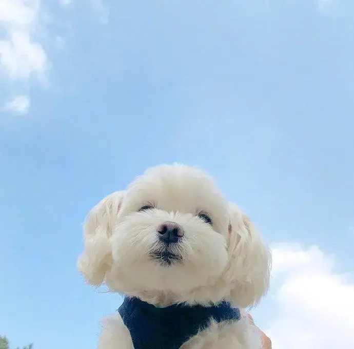 阳光心态快乐人生的句子，选一句发朋友圈吧！(图5)