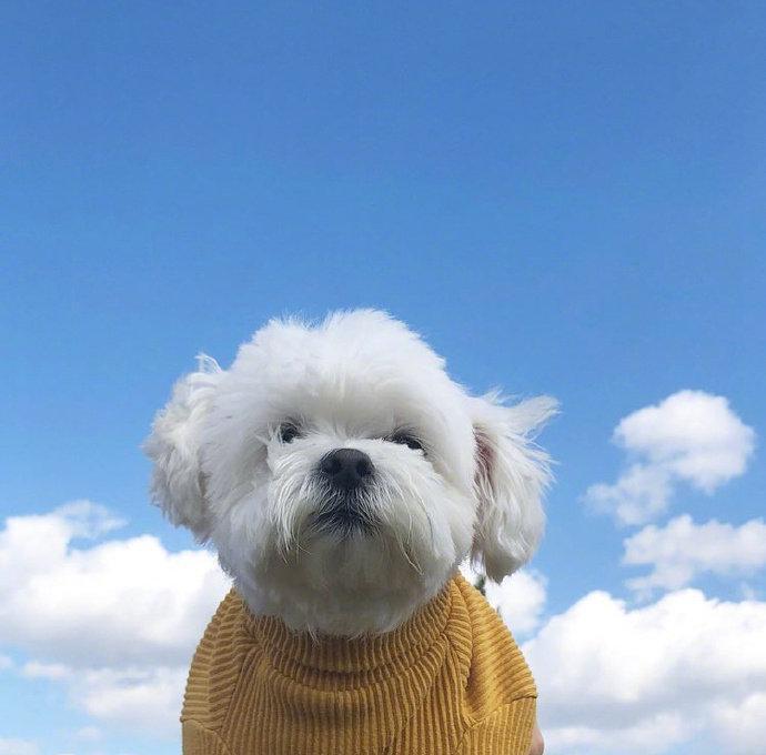 阳光心态快乐人生的句子，选一句发朋友圈吧！(图6)